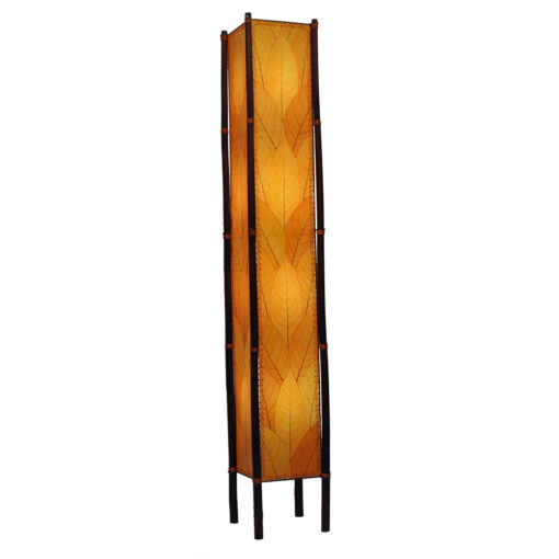 Fortune XL - Image 6