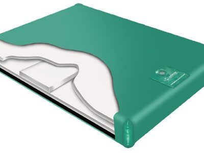 Genesis 600 SL