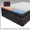 Queen Medallion Softside Waterbed with Single Free Flow No Foundation