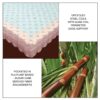 Elite - 12" Natural Latex and Coil Mattress - Twin XL (Without Foundation) - Image 5