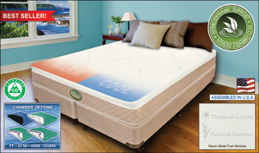 Perfection-Eco Friendly Deep Fill Hydrodynamic Bed™ - Queen with Foundation + Genesis G750