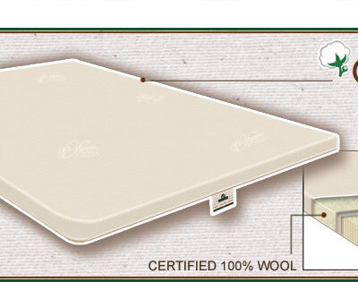 Origins 2.5-in Natural Latex Pillow Topper
