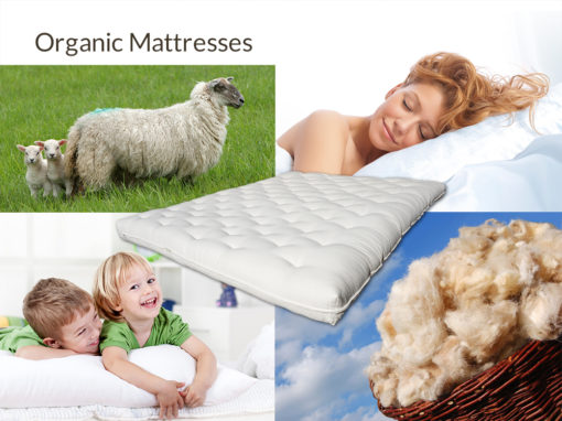 Organic Mattresses at Right Futons & Waterbeds Houston Texas