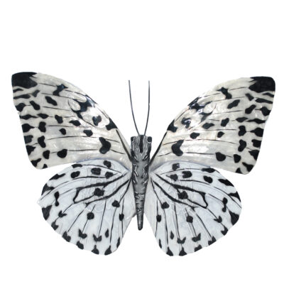 Eangee Butterfly Wall Decor Black And White