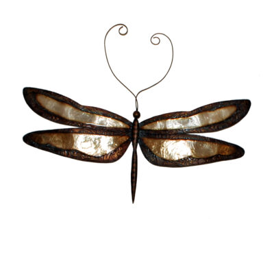 Eangee Dragonfly Wall Decor Earthtoned With Brown Border
