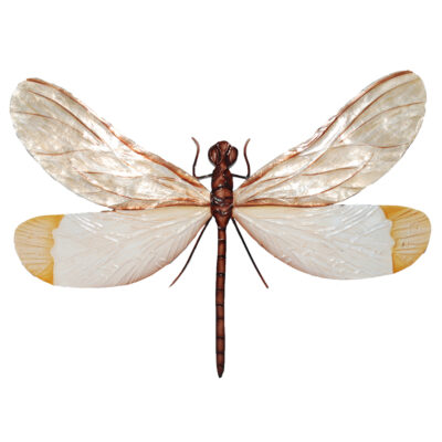 Eangee Dragonfly Wall DecorWhite And Brown
