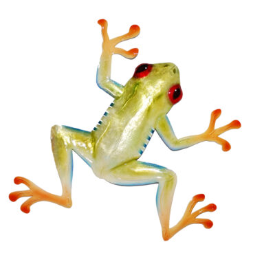 Eangee Red Eyed Tree Frog Wall Decor